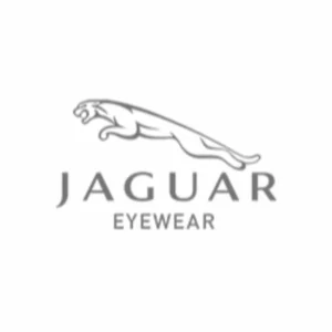 Jaguar, marque de lunettes dérivée de la marque de voiture du même nom